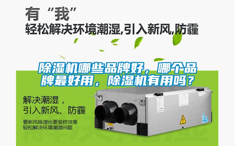 除濕機哪些品牌好，哪個品牌最好用，除濕機有用嗎？