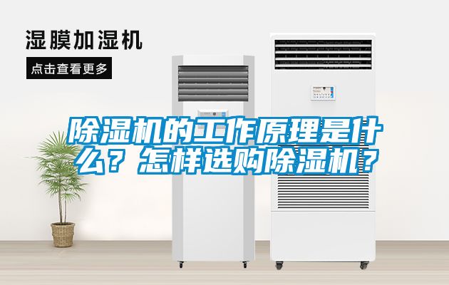 除濕機(jī)的工作原理是什么？怎樣選購(gòu)除濕機(jī)？