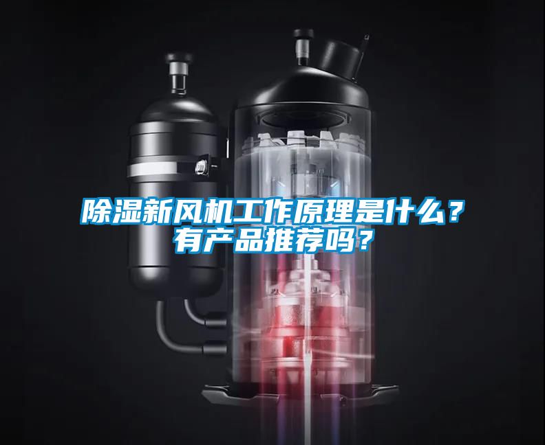 除濕新風機工作原理是什么？有產品推薦嗎？