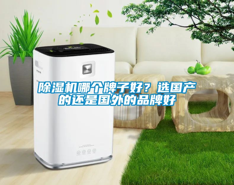 除濕機(jī)哪個牌子好？選國產(chǎn)的還是國外的品牌好