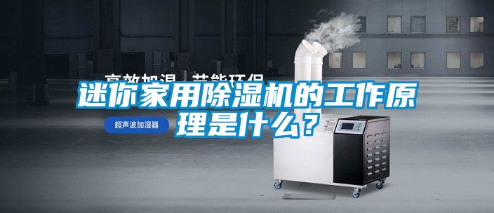 迷你家用除濕機的工作原理是什么？