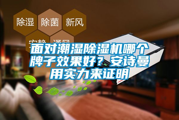 面對潮濕除濕機哪個牌子效果好？安詩曼用實力來證明