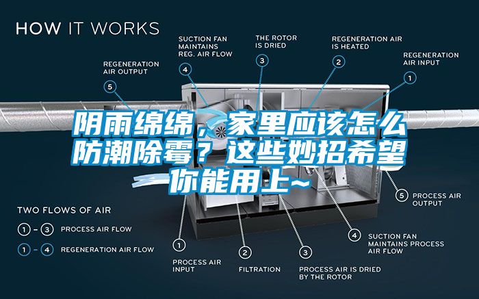 陰雨綿綿，家里應(yīng)該怎么防潮除霉？這些妙招希望你能用上~