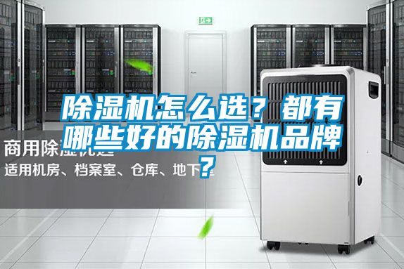 除濕機怎么選？都有哪些好的除濕機品牌？