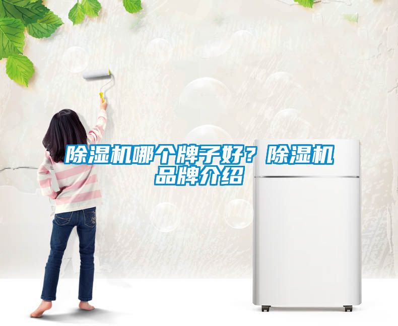 除濕機哪個牌子好？除濕機品牌介紹