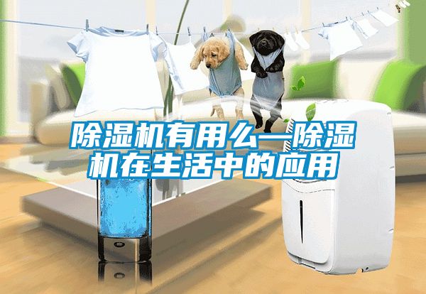 除濕機有用么—除濕機在生活中的應(yīng)用