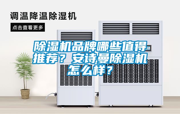 除濕機品牌哪些值得推薦？安詩曼除濕機怎么樣？