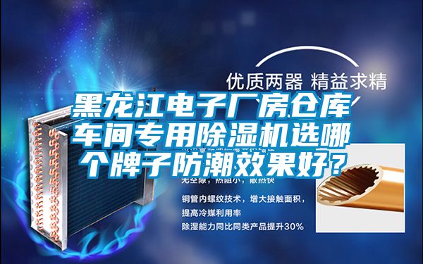 黑龍江電子廠房倉庫車間專用除濕機選哪個牌子防潮效果好？