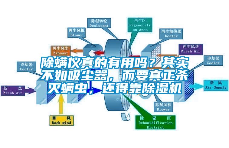 除螨儀真的有用嗎？其實不如吸塵器，而要真正殺滅螨蟲，還得靠除濕機